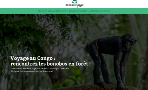 https://www.bonoboscongo.net